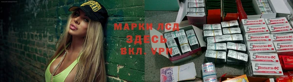 PSILOCYBIN Волосово