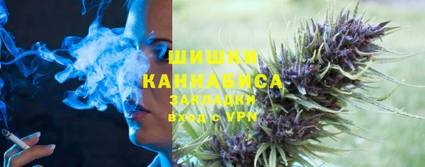 PSILOCYBIN Волосово