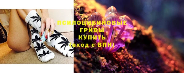 PSILOCYBIN Волосово